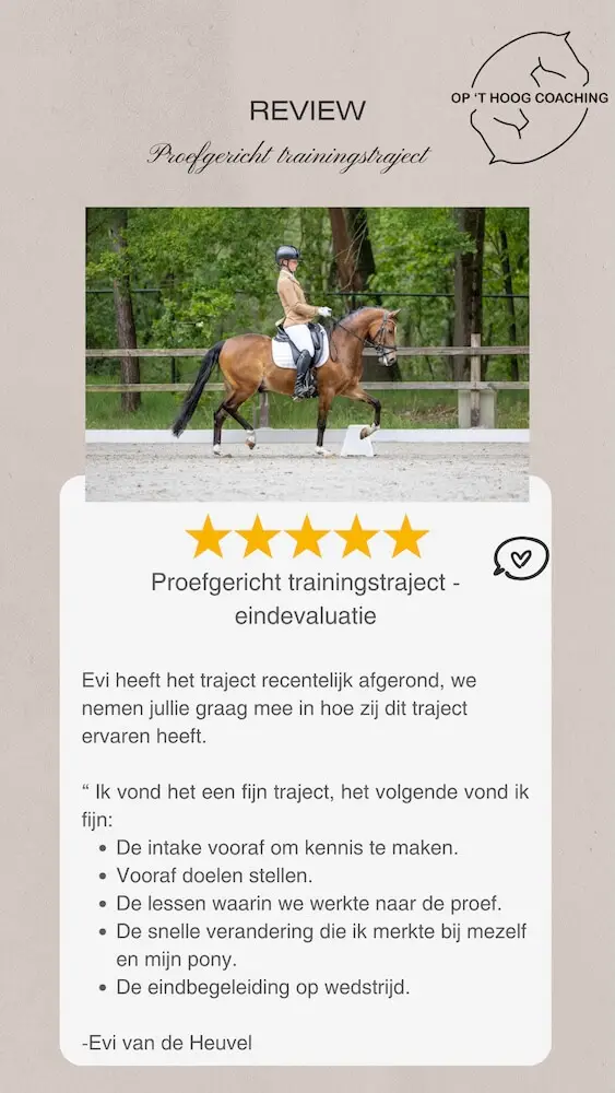 Review Evi van de Heuvel[55] kopie (1)